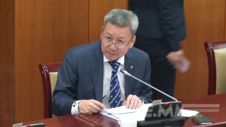 Л.Болд гишүүн “цааш нь ярих уу”, “цааш нь шалгуулах уу?