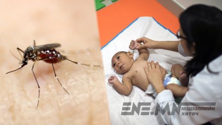 Энэтхэгт "Зика" вирусын халдвар авсан тохиолдол 72-т хүржээ