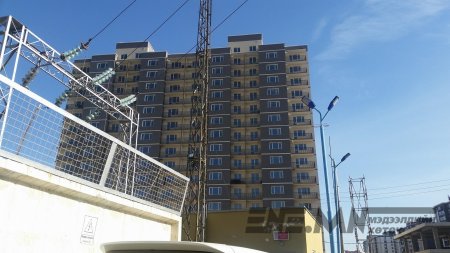 “Моннис” группийнхэн молиго үмхүүлсээр ирэх онтой золгох нь