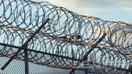  Мод бэлтгэхээр явсан хоригдлууд осолд оржээ