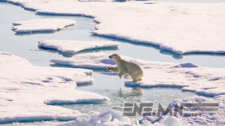 Арктикийг хөгжүүлэх төлөвлөгөө боловсруулж байна