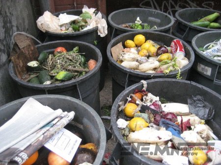 Дэлхийн янз бүрийн оронд хогийг хэрхэн боловсруулдаг вэ?