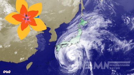 Япон улсын Токио болон Чиба муж нутагт бусад газраасаа ч илүү хүчтэй хар шуурга дэгдэж байна