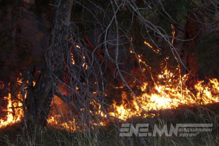Австралийн түймрийн утаа Чилид хүрчээ