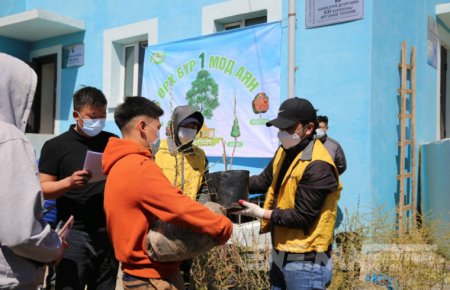 Имарт мод тарих өдрөөр 2000 гаруй мод тарилаа