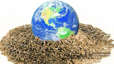 Яагаад дэлхий даяар үр тарианы үнэ өсөөд байна вэ?