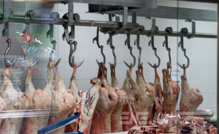 ЖАГСААЛТ: Эмээлт дэх мах боловсруулах 20 ААН-ийн үйлдвэрийн үйл ажиллагааг зогсоожээ