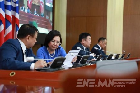 Дийлэнх компаниудыг төр эзэмшиж байгаагаас улс хөгжихгүй байна