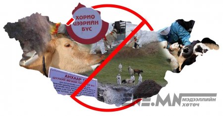 ХӨВСГӨЛ: Мал, амьтны шилжилт хөдөлгөөнийг он дуустал хориглов