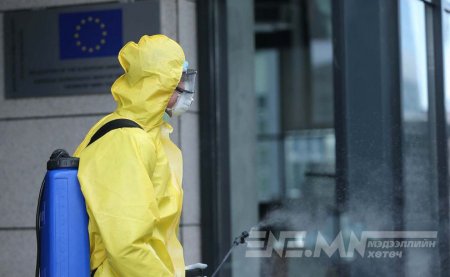 Японд шувууны томуугийн тохиолдол урьд байгаагүйгээр нэмэгджээ