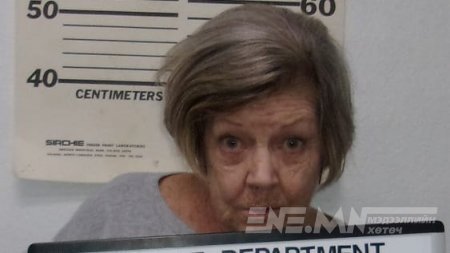 АНУ-д 78 настай эмэгтэйг гурван удаагийн банк дээрэмдсэн хэргээр яллажээ